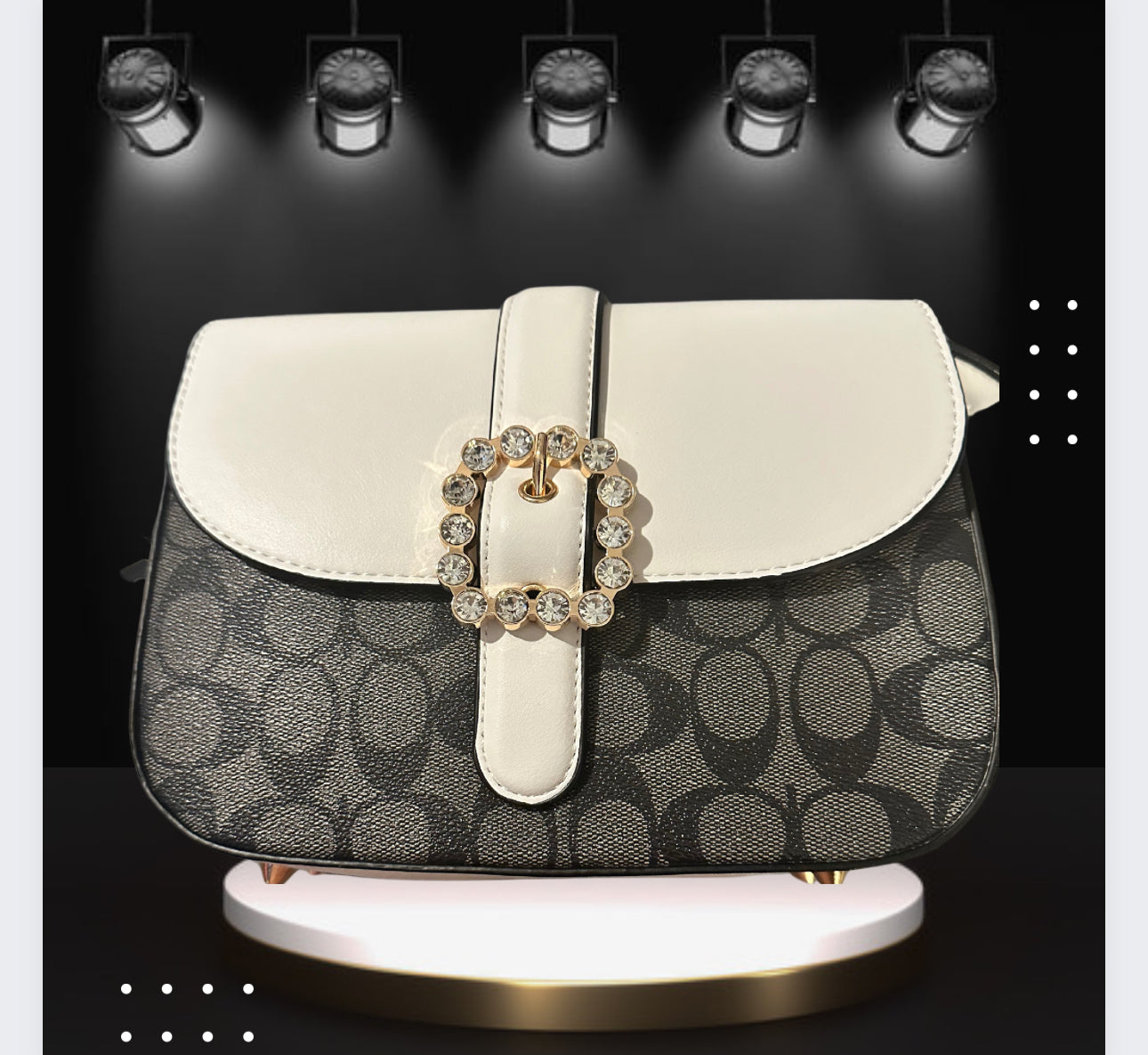 Women Designer Handbag C-Print