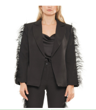 Women Blazer Jacket Why 22065