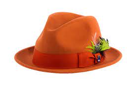 Men Fashion Hat-Trilby Rust